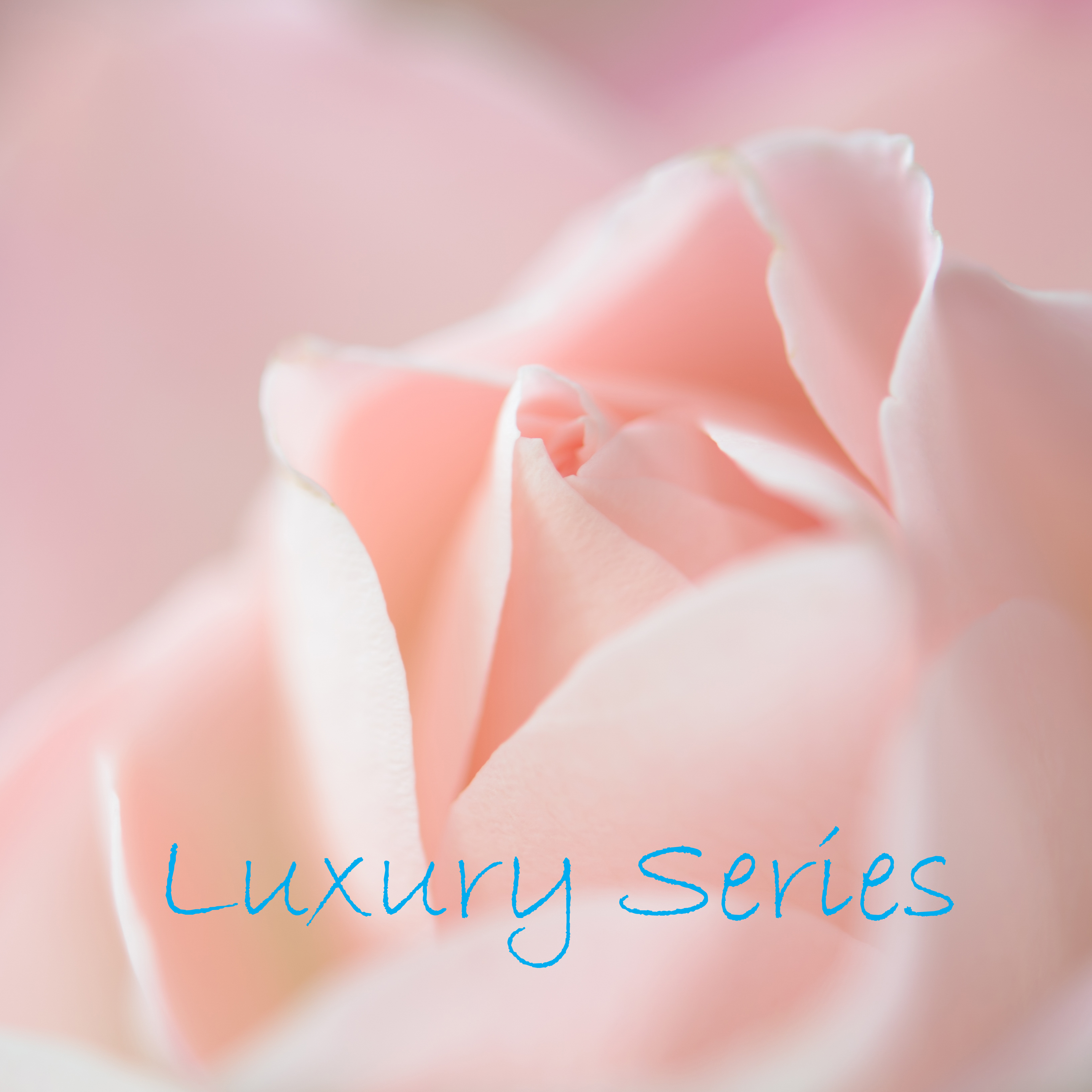 ラグジュアリーシリーズ