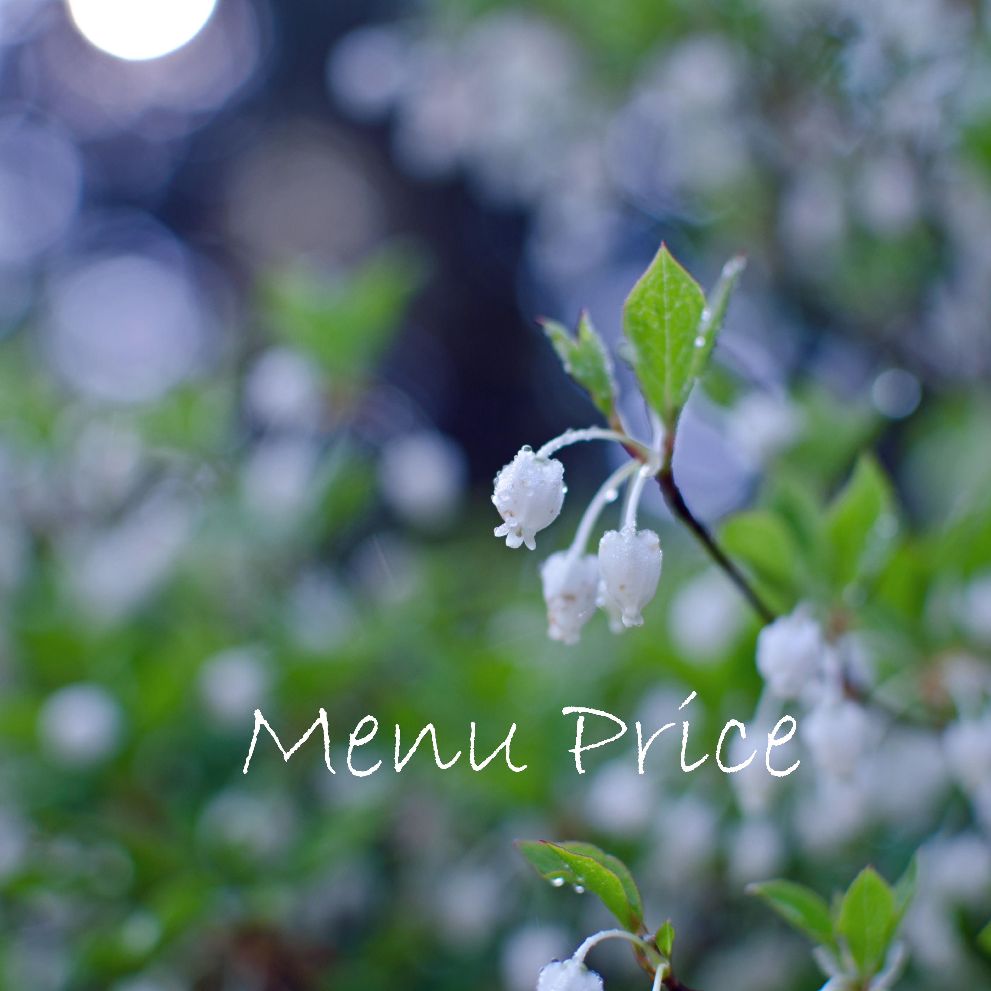 メニュープライス